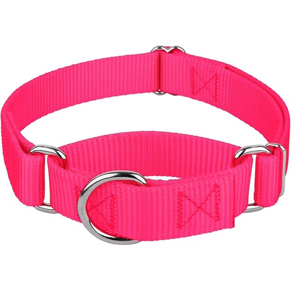 Couy Brook Petz - Martingale Dog Collar Heavy-Duty Training with No Buckle Service for All Pups 10+ Warm Colors (Hot Pink, 1 Inch, Medium)