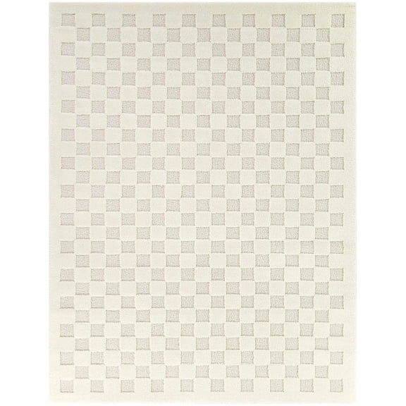 Coveney Checkered Area Rug