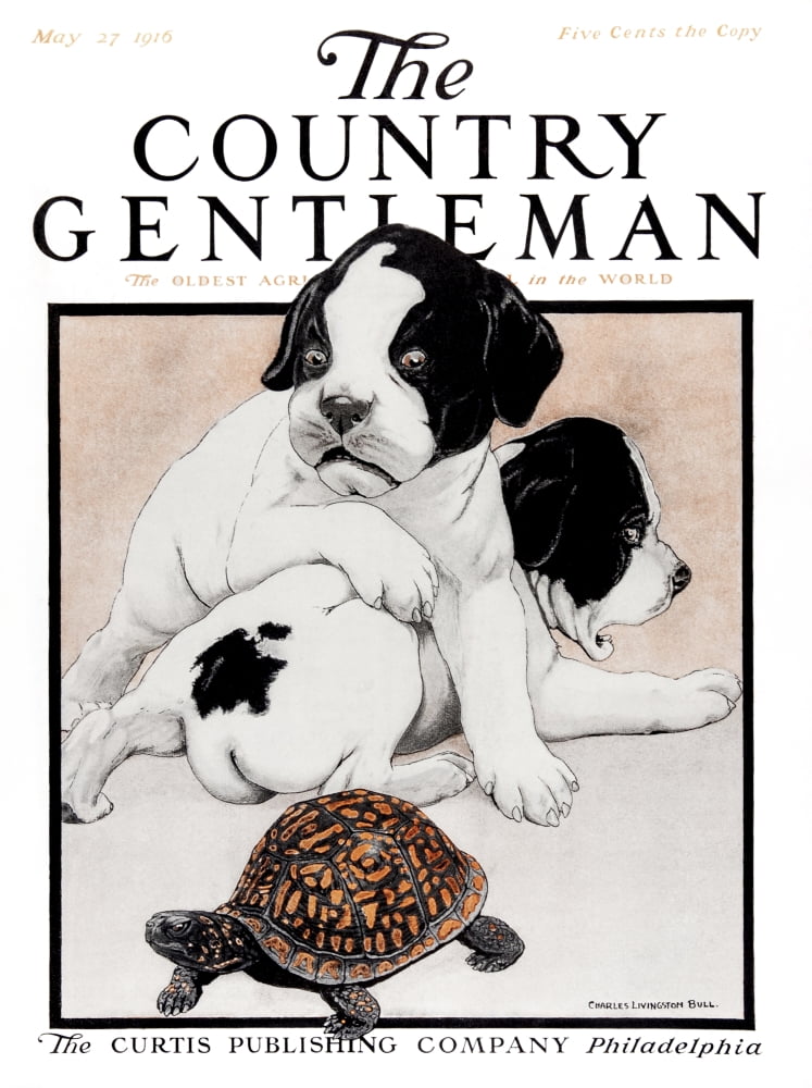 Cover of Country Gentleman agricultural magazine from the early 20th century Canvas Art - Remsberg Inc Design Pics (13 x 17)