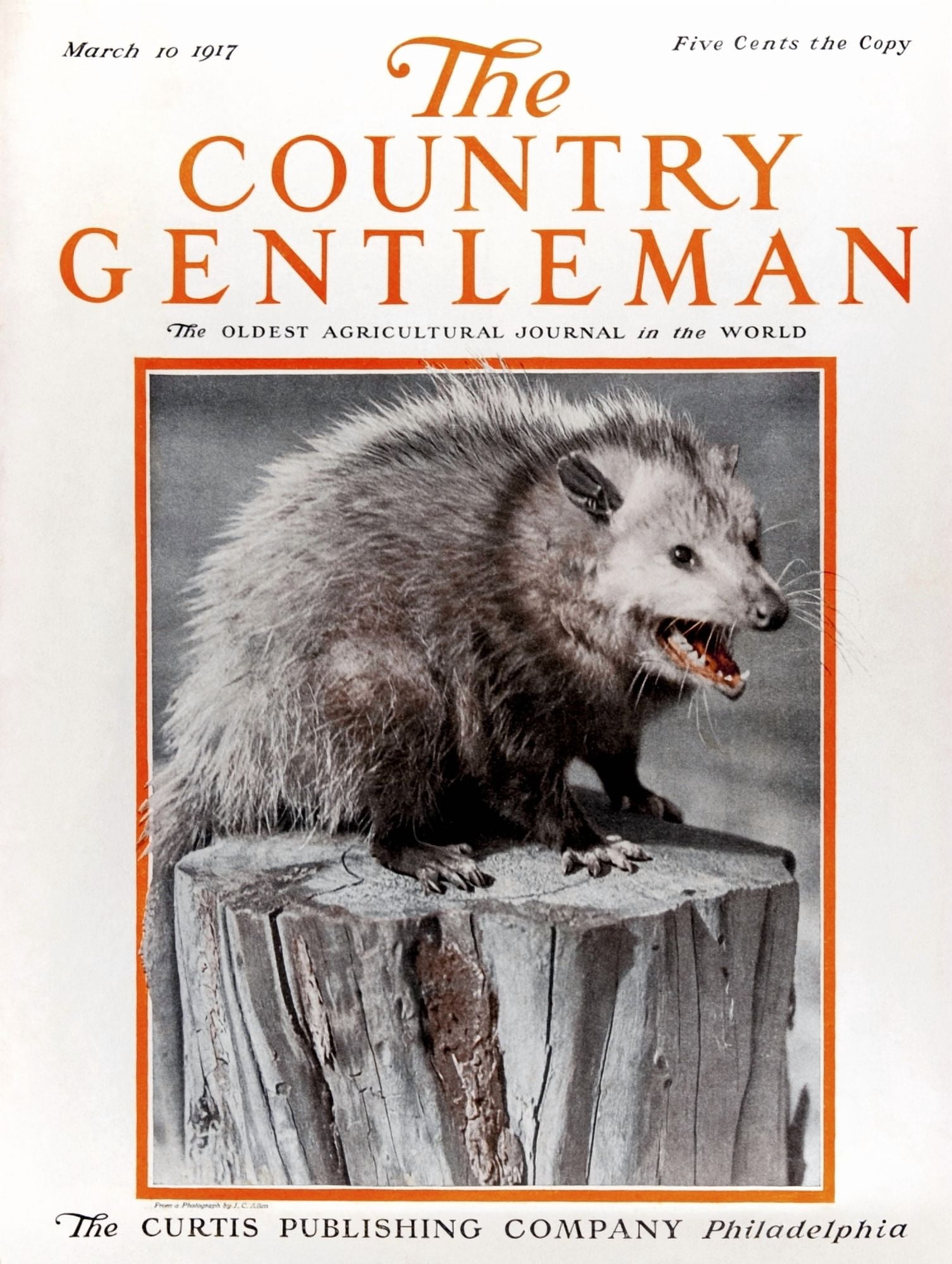 Cover of Country Gentleman agricultural magazine from the early 20th century Canvas Art - Remsberg Inc Design Pics (13 x 17)