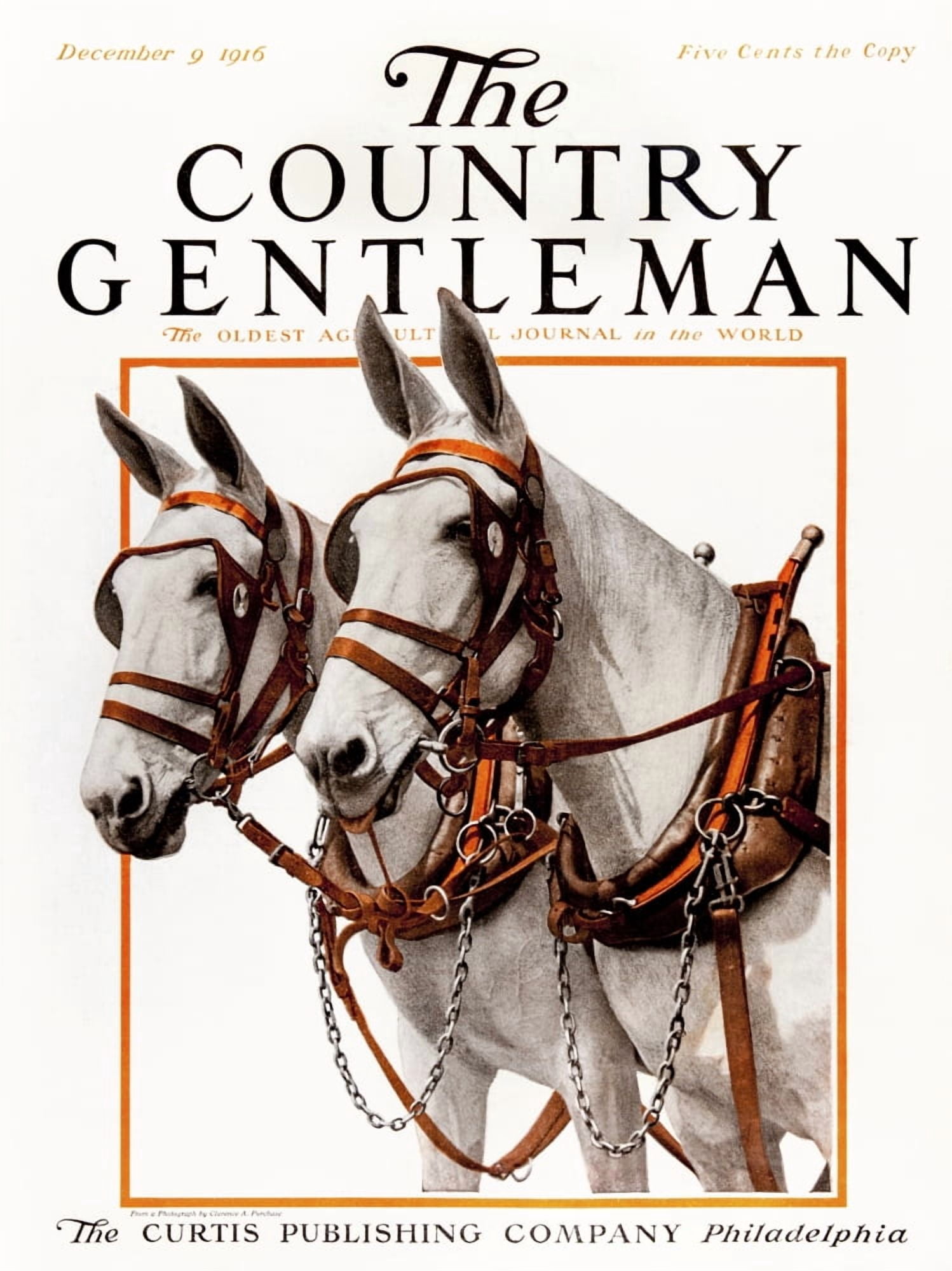 Cover of Country Gentleman agricultural magazine from the early 20th century Canvas Art - Remsberg Inc Design Pics (13 x 17)