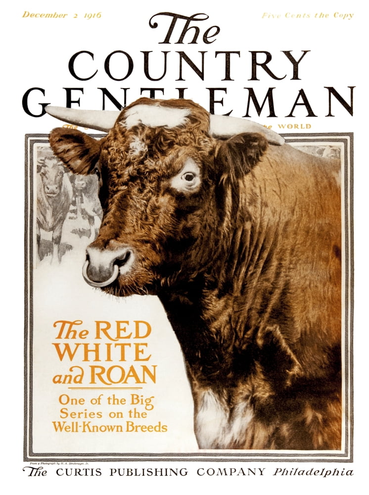 Cover of Country Gentleman agricultural magazine from the early 20th century Canvas Art - Remsberg Inc Design Pics (13 x 17)