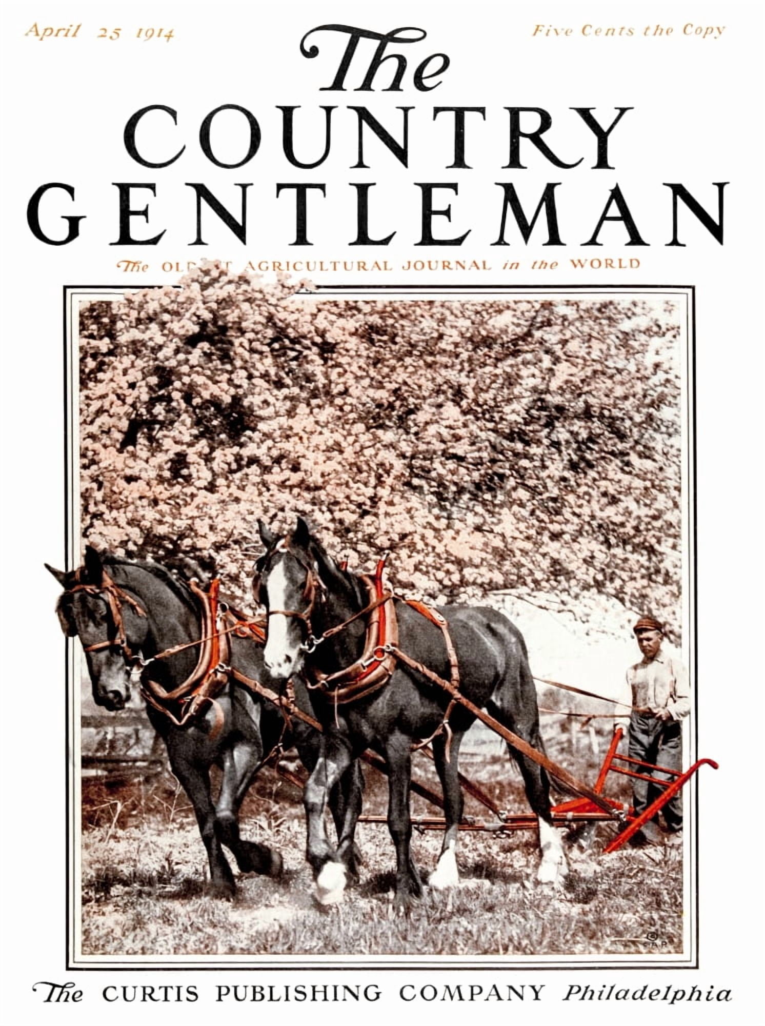 Cover of Country Gentleman agricultural magazine from the early 20th century Canvas Art - Remsberg Inc Design Pics (13 x 17)