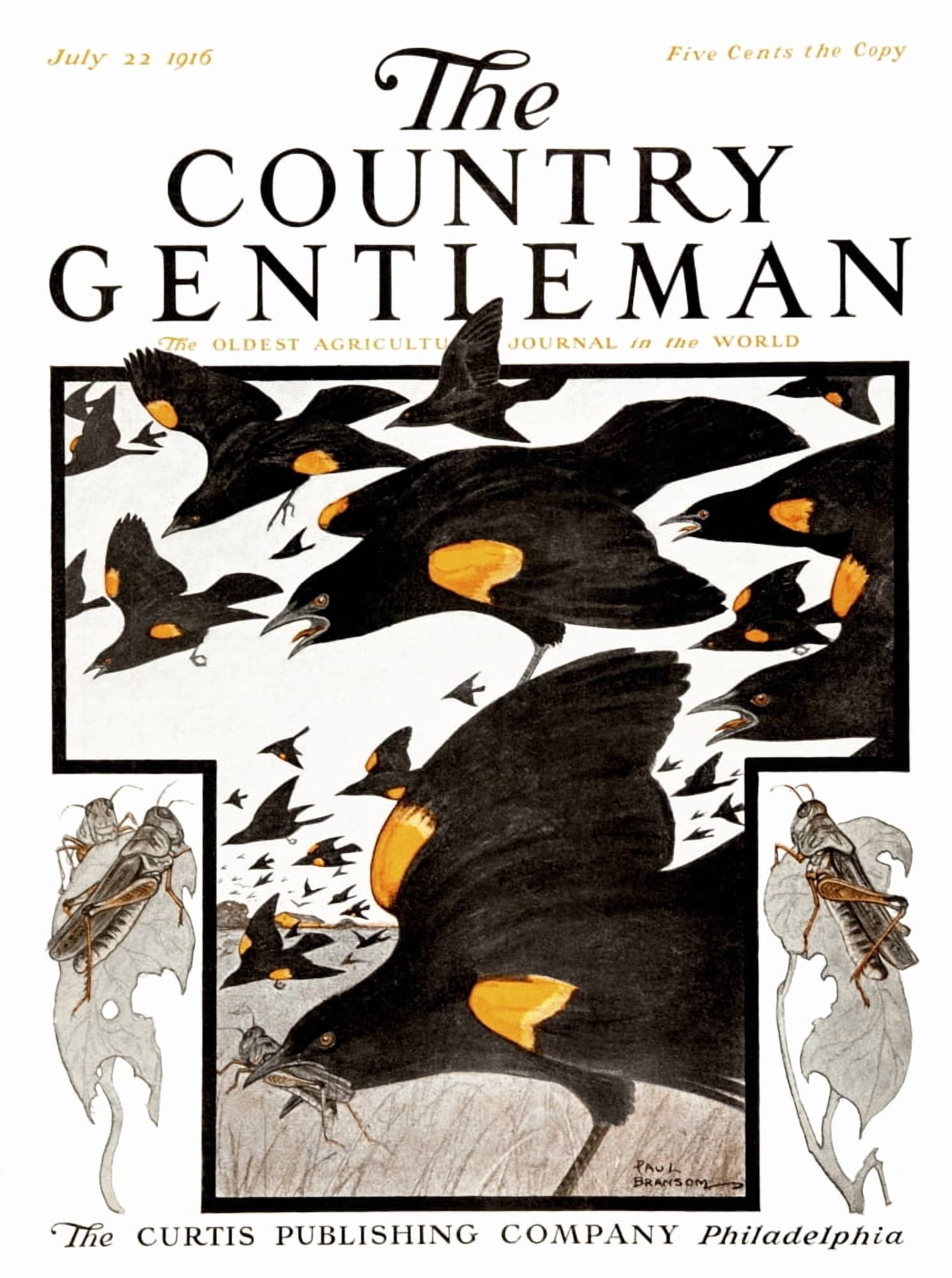 Cover of Country Gentleman agricultural magazine from the early 20th century Canvas Art - Remsberg Inc Design Pics (13 x 17)
