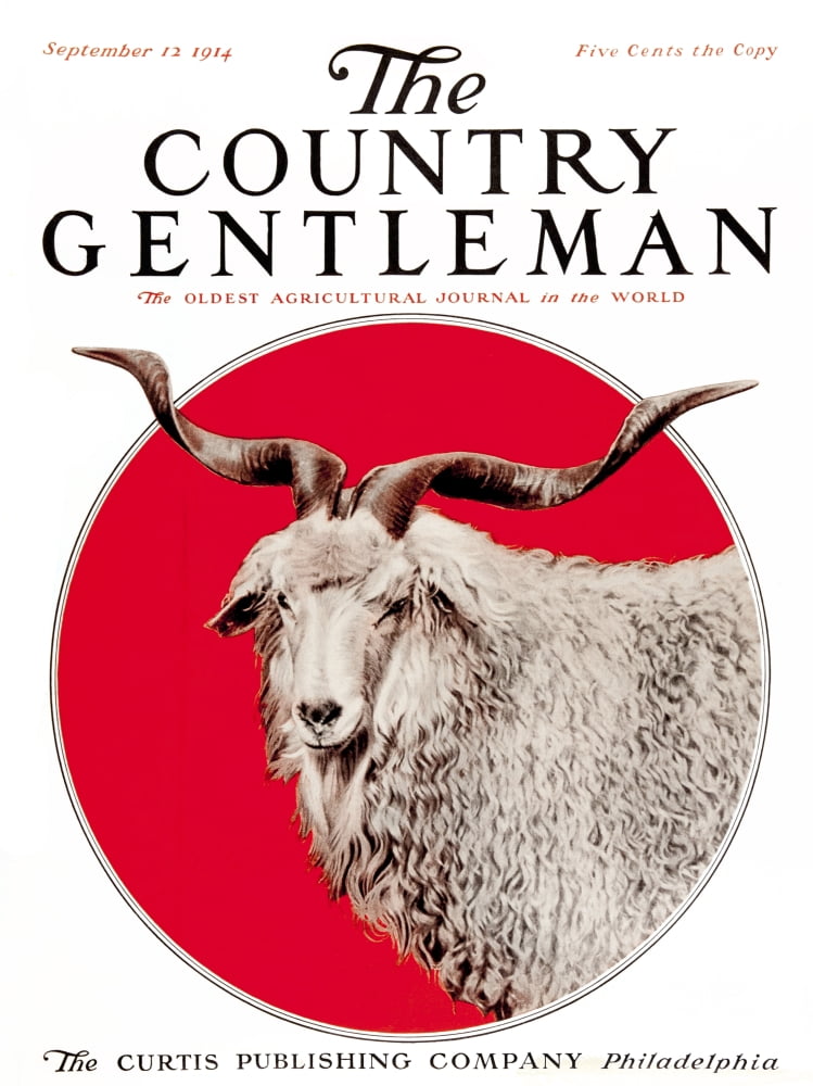 Cover of Country Gentleman agricultural magazine from the early 20th century Canvas Art - Remsberg Inc Design Pics (13 x 17)