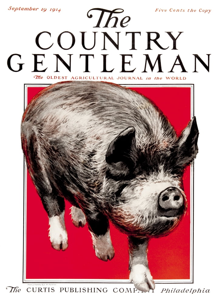 Cover of Country Gentleman agricultural magazine from the early 20th century Canvas Art - Remsberg Inc Design Pics (13 x 18)