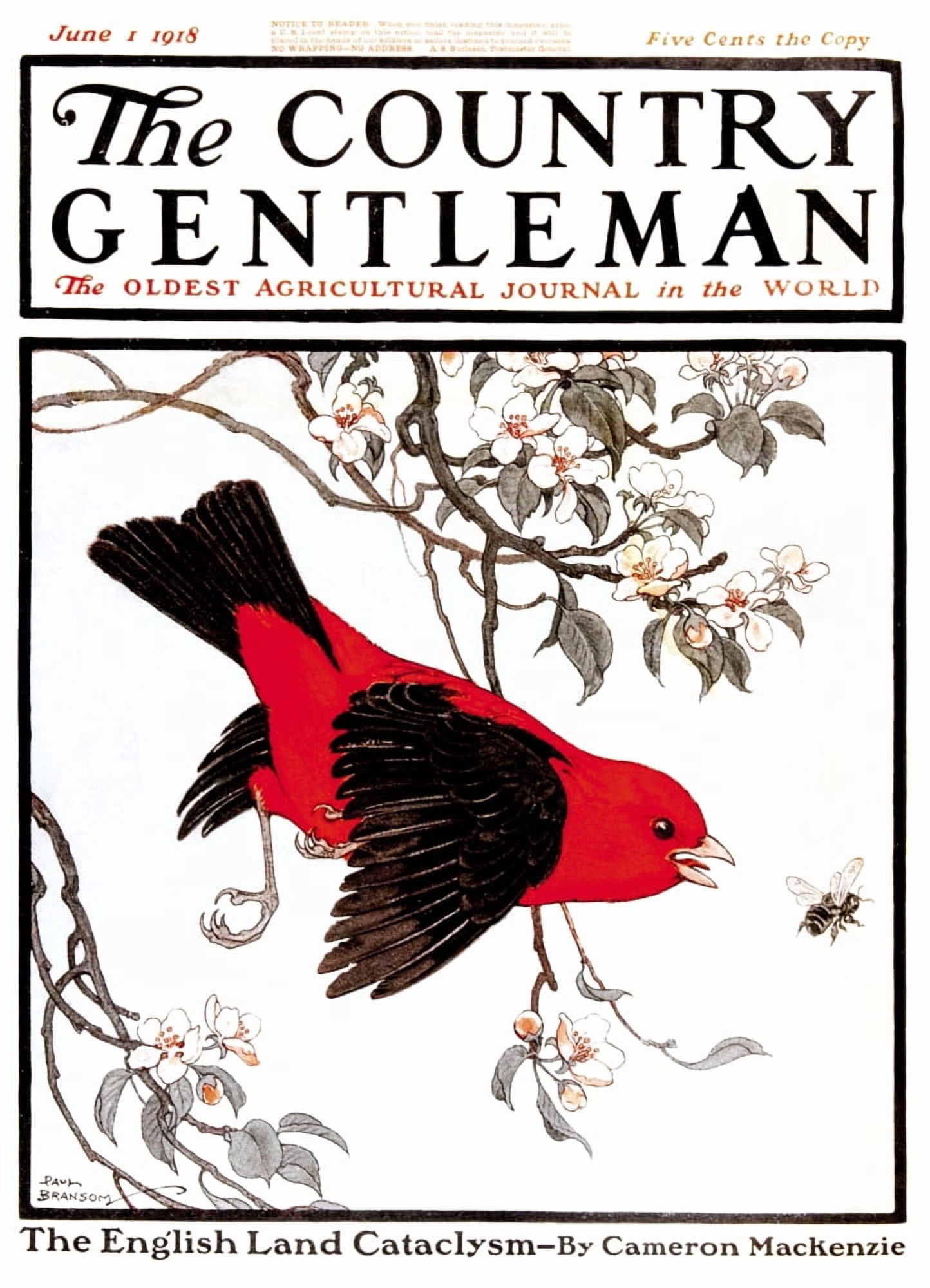 Cover of Country Gentleman agricultural magazine from the early 20th century Canvas Art - Remsberg Inc Design Pics (13 x 18)
