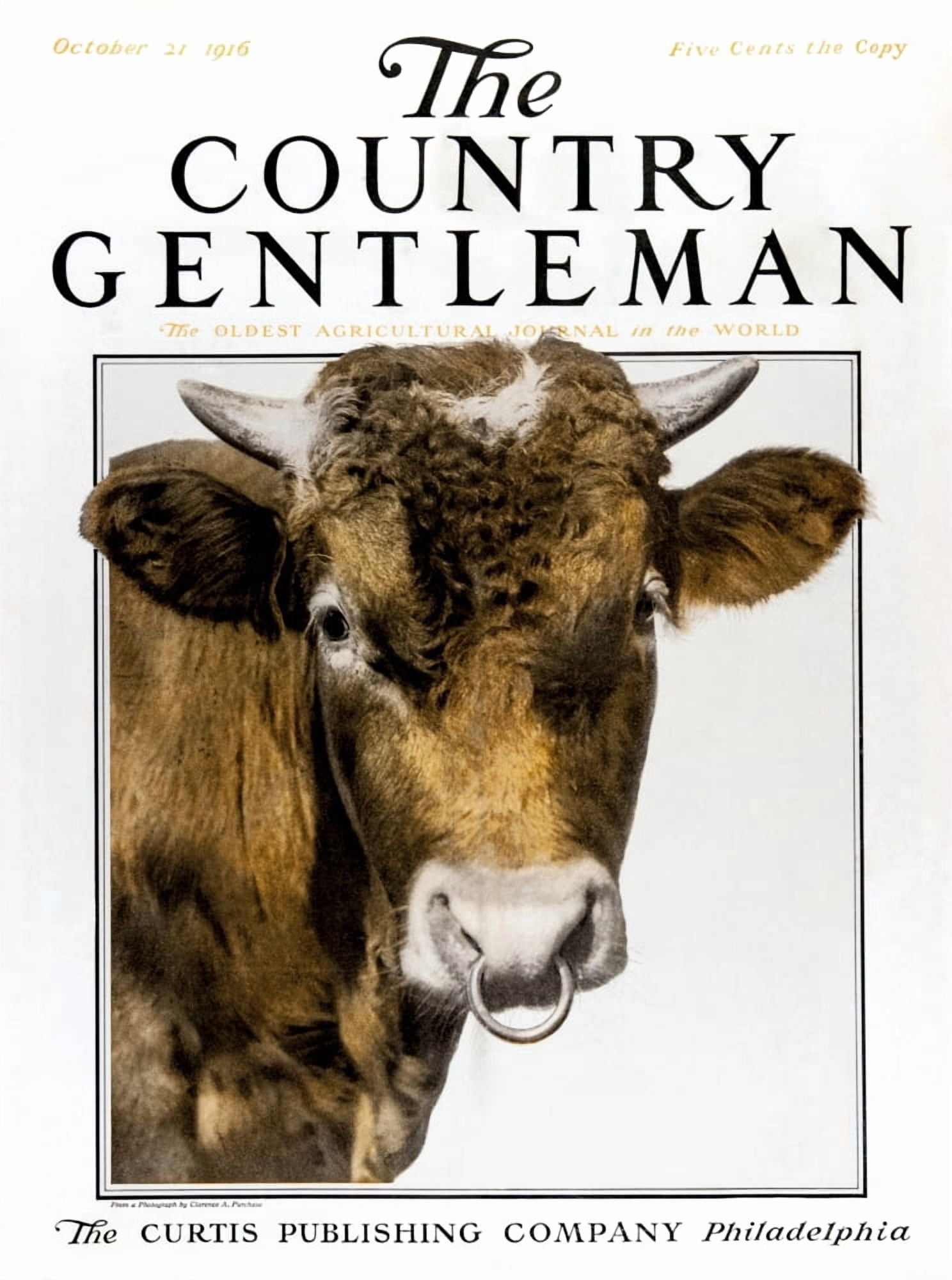 Cover of Country Gentleman agricultural magazine from the early 20th century Canvas Art - Remsberg Inc Design Pics (13 x 18)