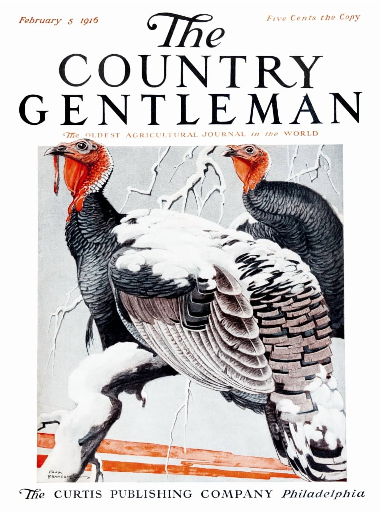 Cover of Country Gentleman agricultural magazine from the early 20th century Canvas Art - Remsberg Inc Design Pics (13 x 18)