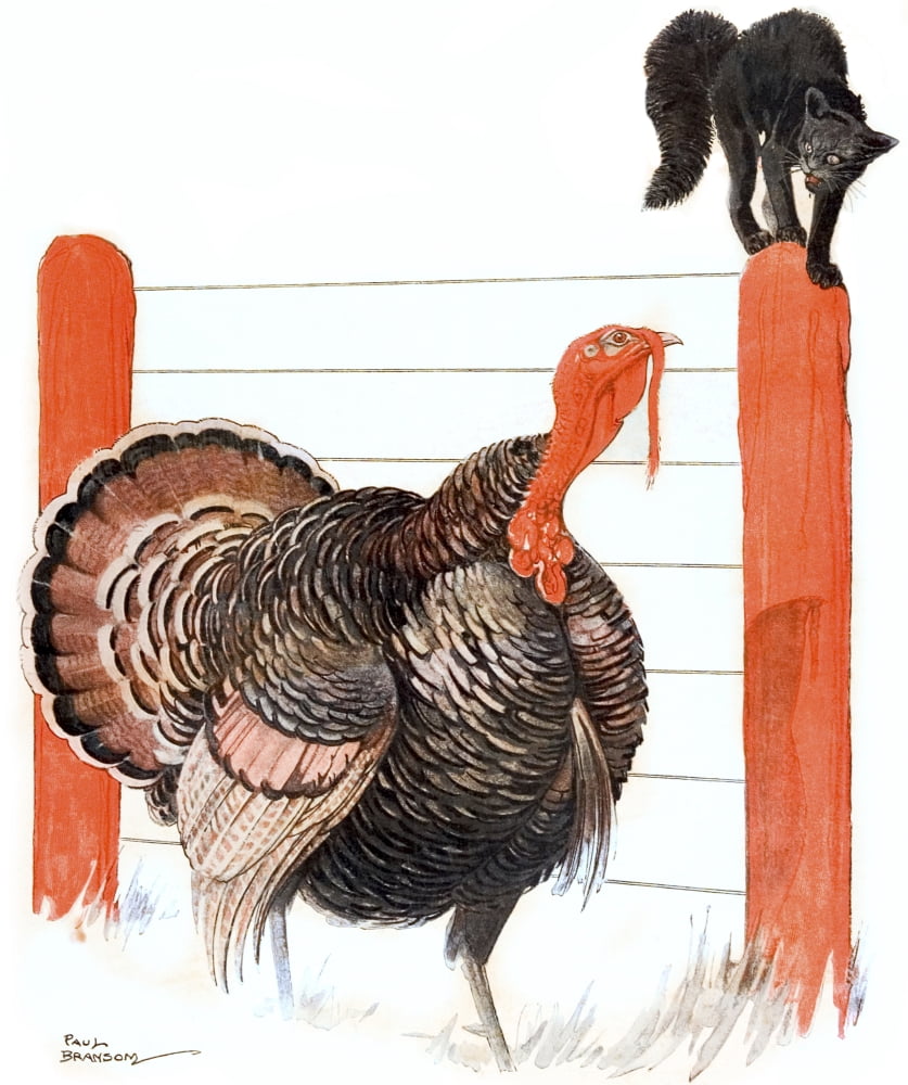 Cover of Country Gentleman agricultural magazine from the early 20th century Canvas Art - Remsberg Inc Design Pics (14 x 16)