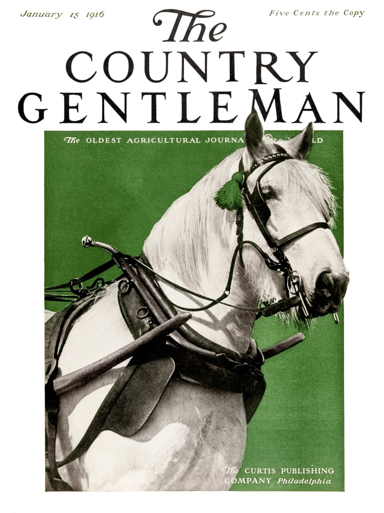 Cover of Country Gentleman agricultural magazine from the early 20th century Canvas Art - Remsberg Inc Design Pics (26 x 34)