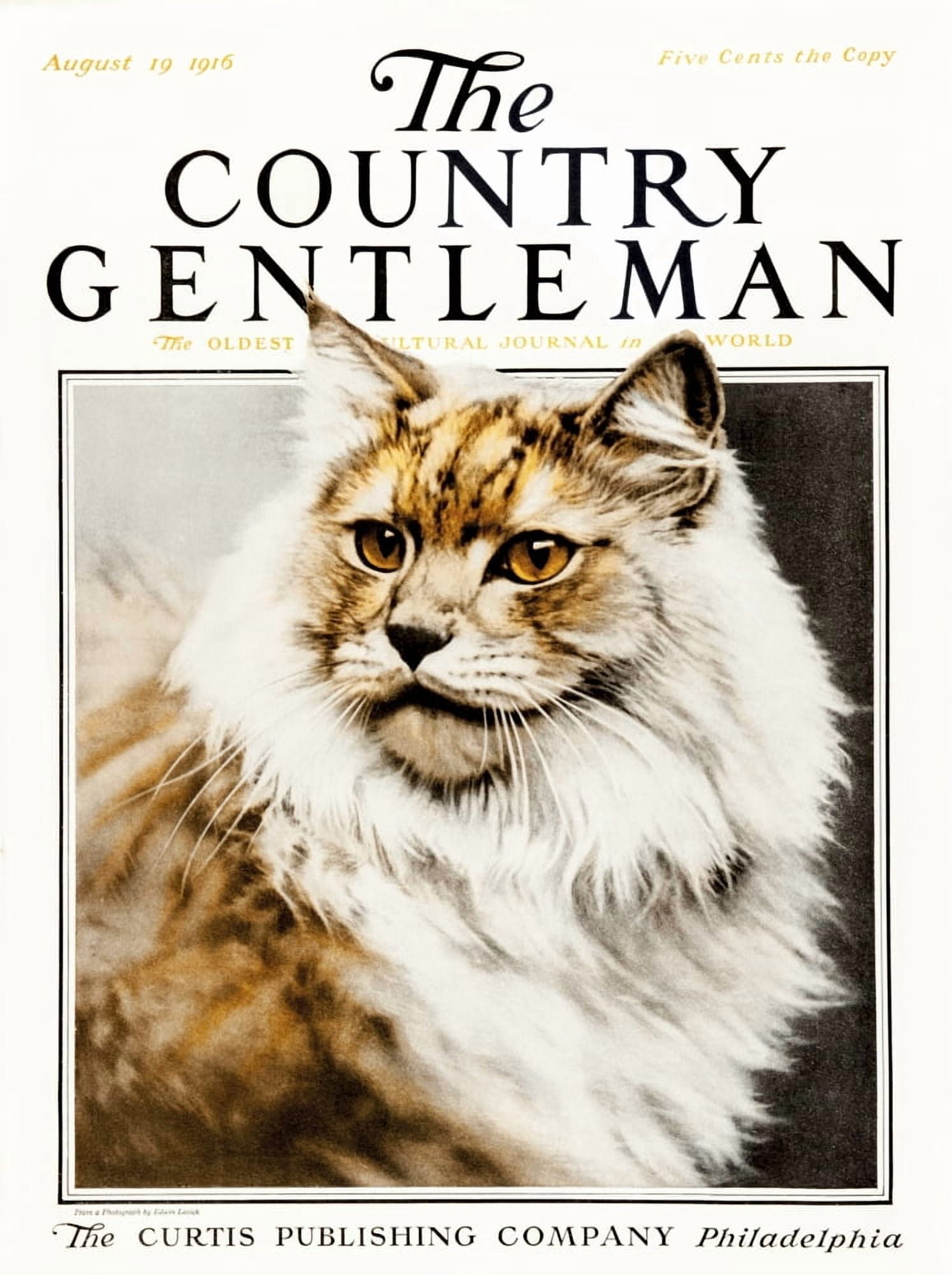 Cover of Country Gentleman agricultural magazine from the early 20th century Canvas Art - Remsberg Inc Design Pics (26 x 34)