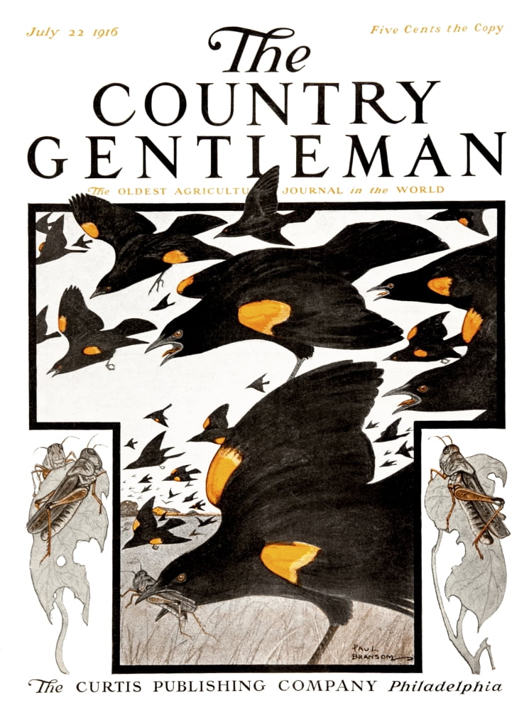 Cover of Country Gentleman agricultural magazine from the early 20th century Canvas Art - Remsberg Inc Design Pics (26 x 34)