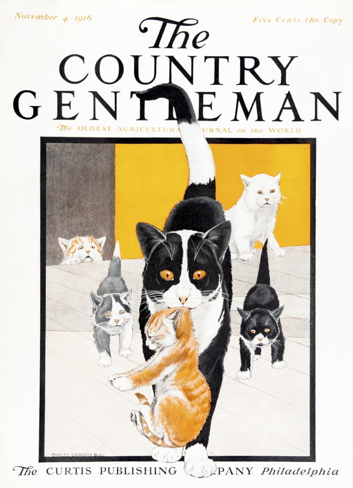 Cover of Country Gentleman agricultural magazine from the early 20th century Canvas Art - Remsberg Inc Design Pics (26 x 36)