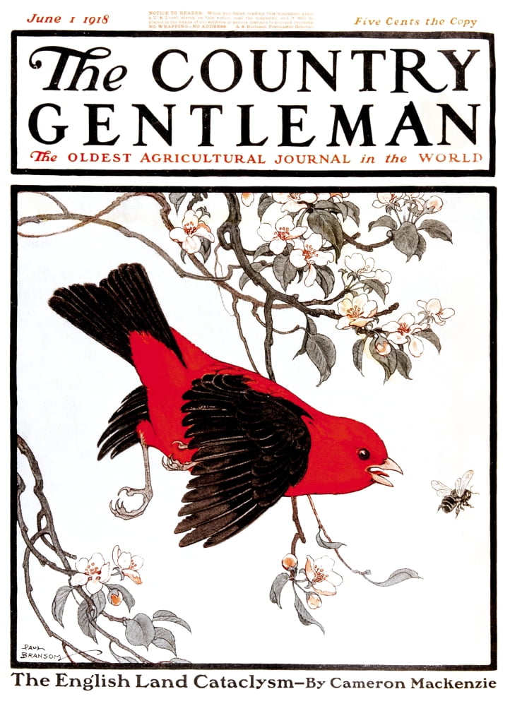 Cover of Country Gentleman agricultural magazine from the early 20th century Canvas Art - Remsberg Inc Design Pics (26 x 36)