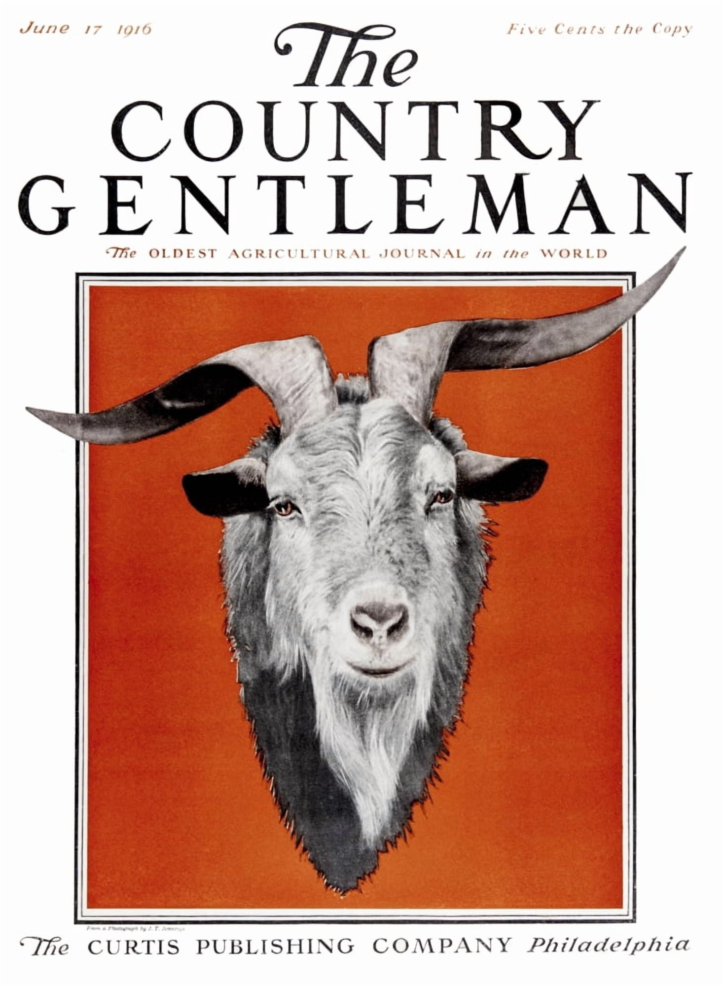 Cover of Country Gentleman agricultural magazine from the early 20th century Canvas Art - Remsberg Inc Design Pics (26 x 36)