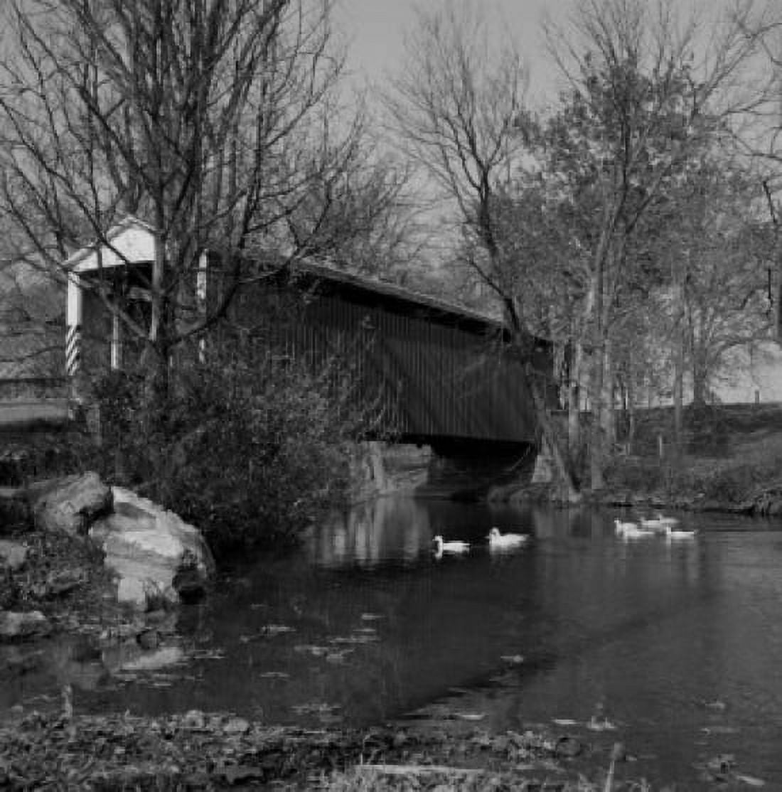 Covered bridge and ducks in water Canvas Art - (24 x 36)