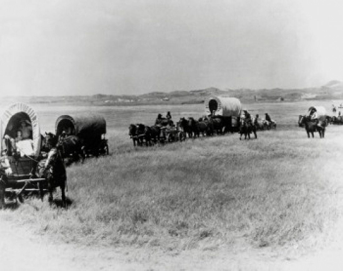 Covered wagons moving across the plains Canvas Art - (24 x 36)