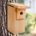 thumbnail image 1 of Coveside Eastern Bluebird House DIY Kit, 1 of 8