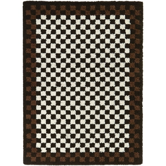 Covey Border Checkered Shag Area Rug