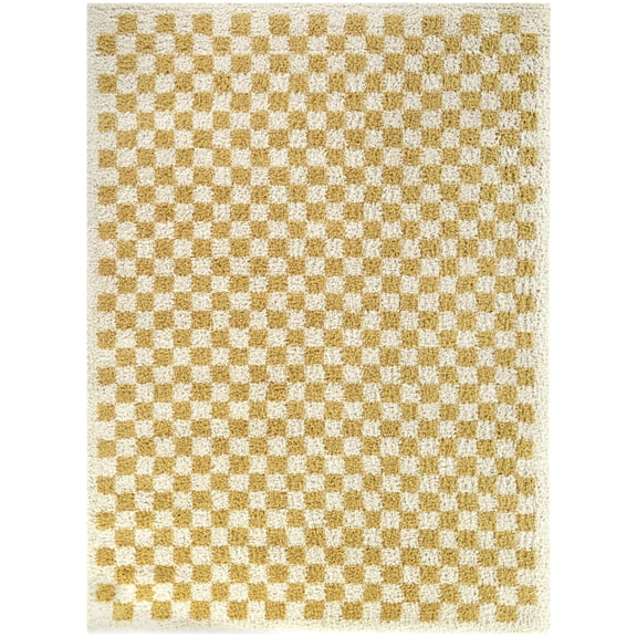 Covey Checkered Shag Area Rug