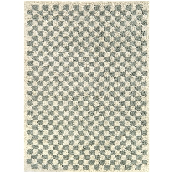 Covey Checkered Shag Area Rug