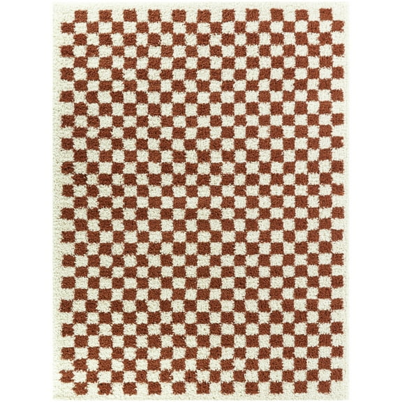 Covey Checkered Shag Area Rug