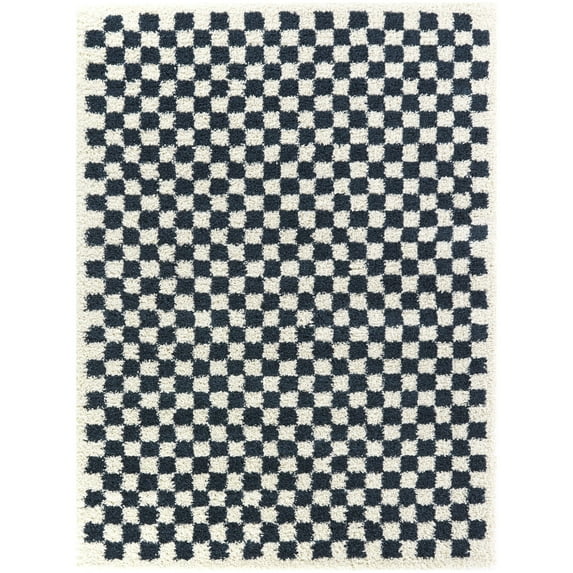 Covey Checkered Shag Area Rug