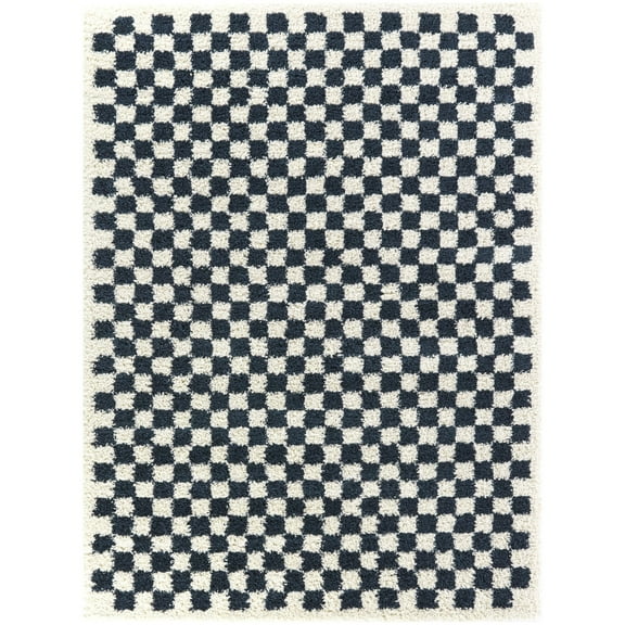 Covey Checkered Shag Area Rug