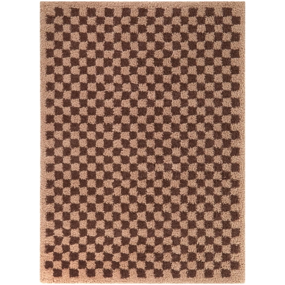 Covey Checkered Shag Area Rug