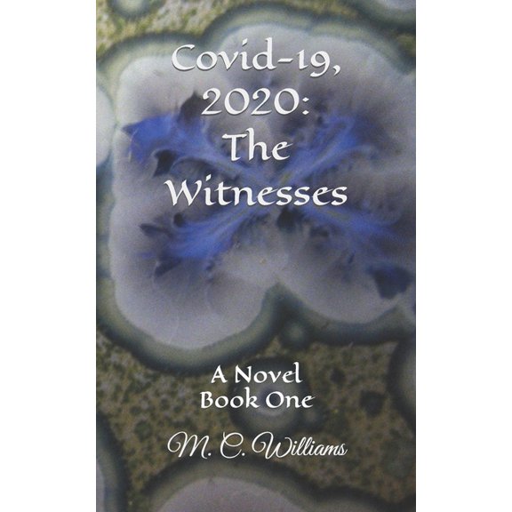 Covid 19, 2020 : The Witnesses (Paperback)