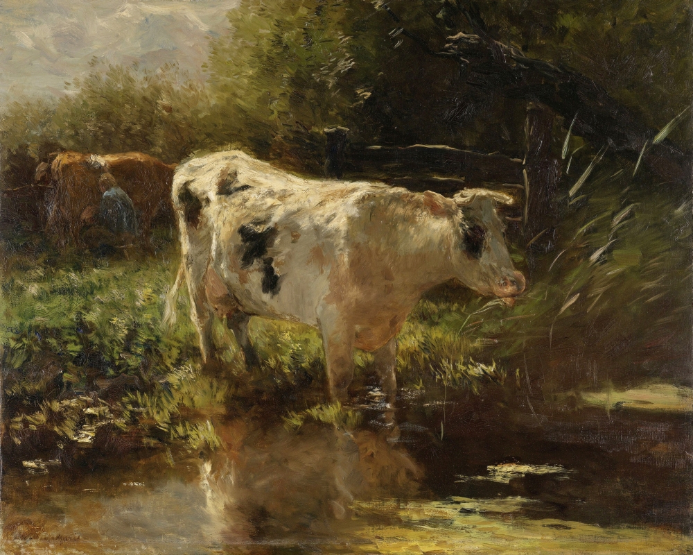 Cow Beside A Ditch Canvas Art - (24 x 18)