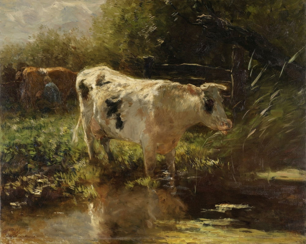 Cow Beside A Ditch Canvas Art - (36 x 24)