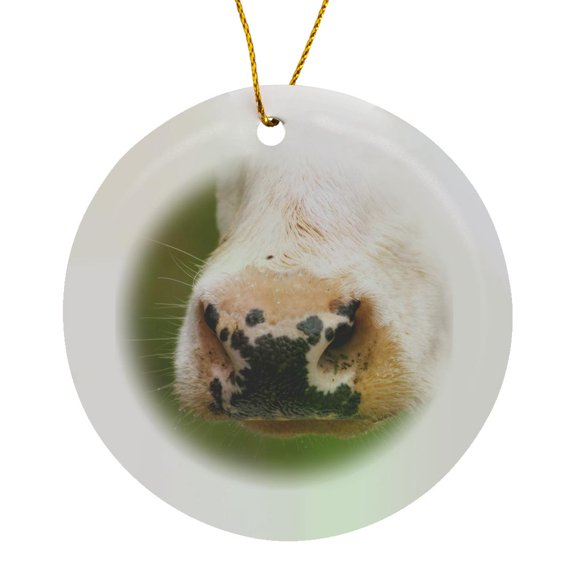 3drose, Cow Black and White Nose Smaland, Sweden - Eu28 Pka0227 - Per Karlsson, Circle Porcelain Ornament