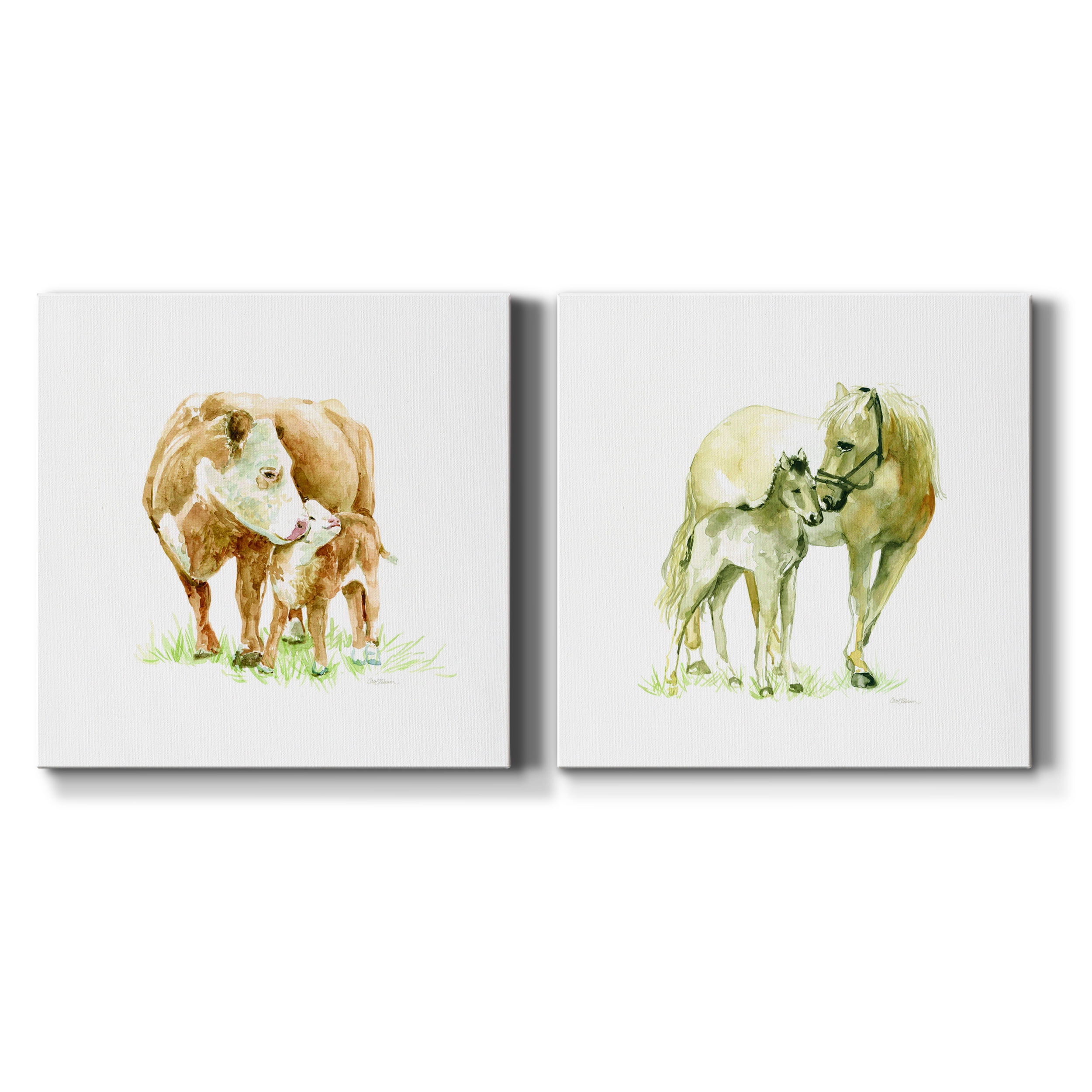 Cow & Calf - Premium Gallery Wrapped Canvas - Ready to Hang Set of 2 - 24 x 24 Each