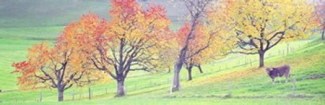 Cow Cantone Zug Switzerland Canvas Art - Panoramic Images (18 x 6)