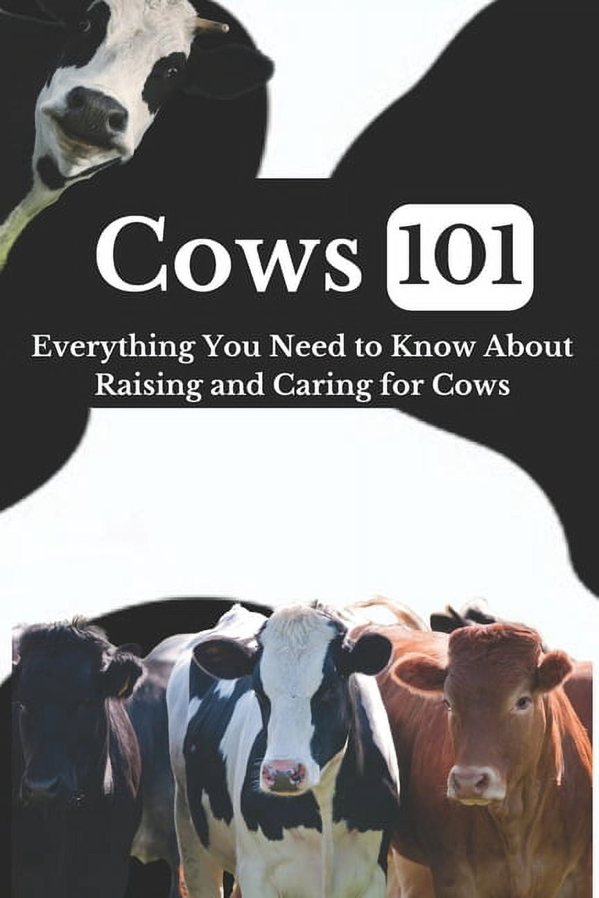 Cow Care 101: Everything You Need to Know About Raising and Caring for ...