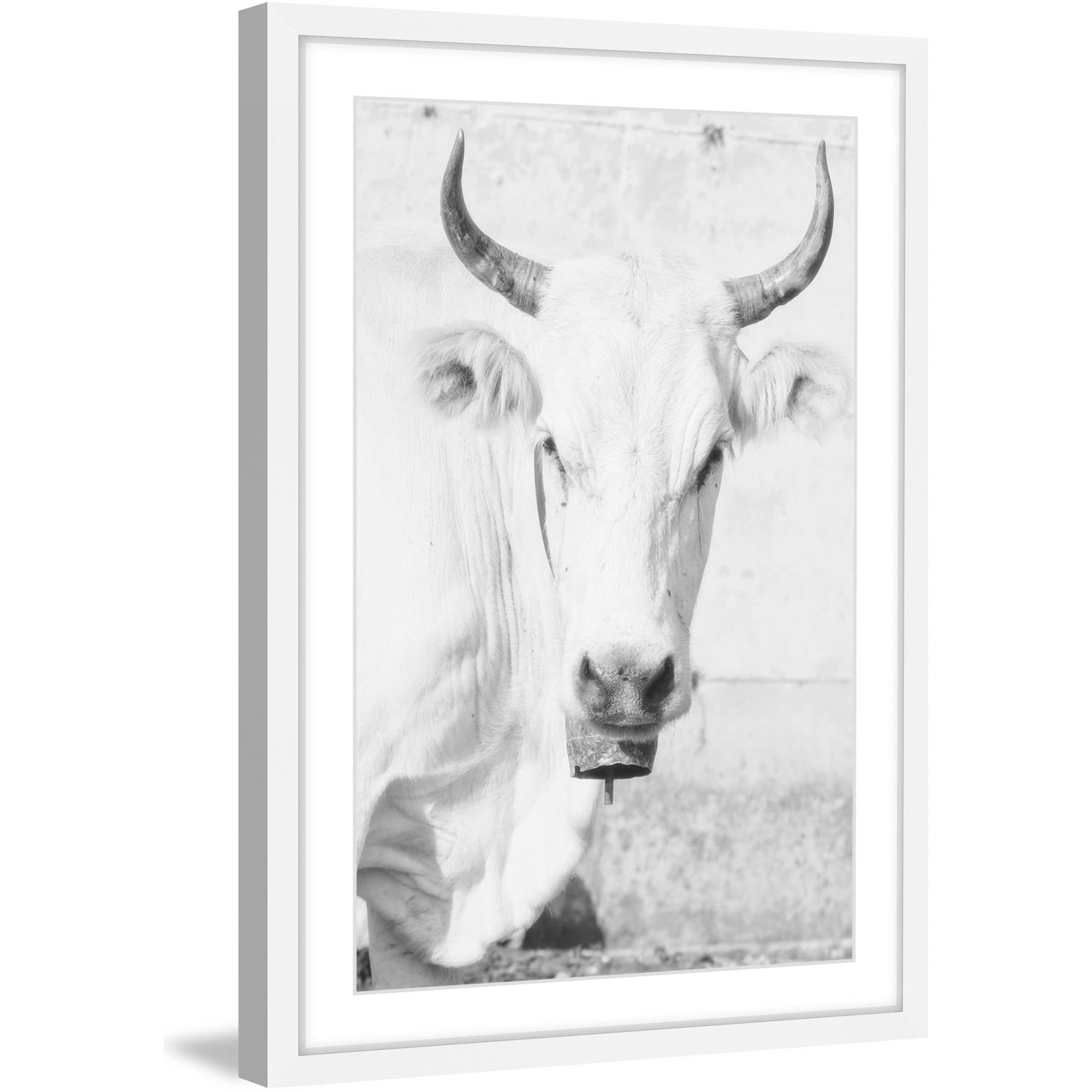 White and Gray Framed Cow Face Canvas Print, 18" x 26"
