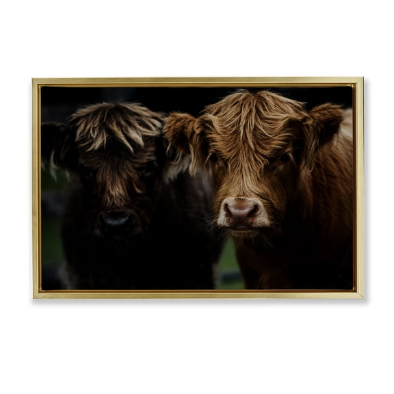 Cow Faces Highland Pair Gold Framed Floater Canvas Wall Art, design by Amy Carroll