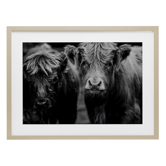 Cow Faces on Farm Birch Framed Print Under Glass, design by Amy Carroll