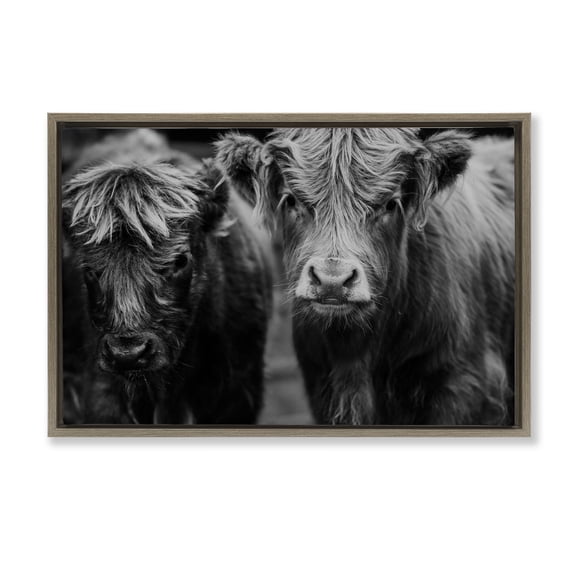 Cow Faces on Farm Brown Framed Floater Canvas Wall Art, design by Amy Carroll