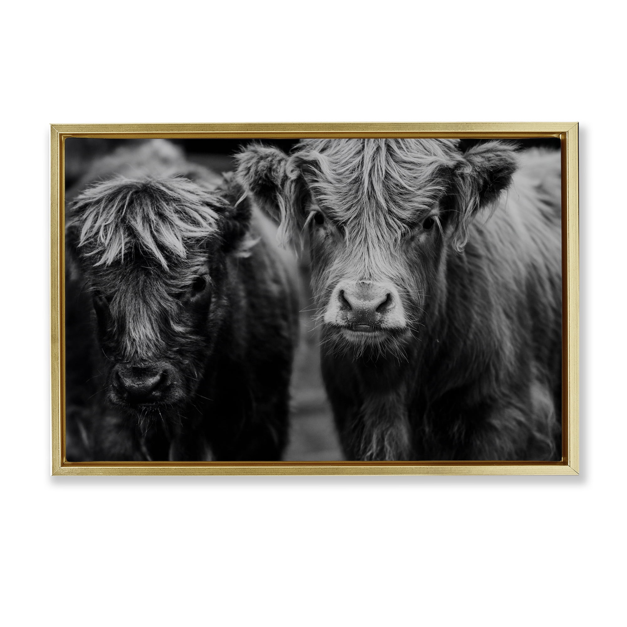 Cow Faces on Farm Gold Framed Floater Canvas Wall Art, design by Amy Carroll