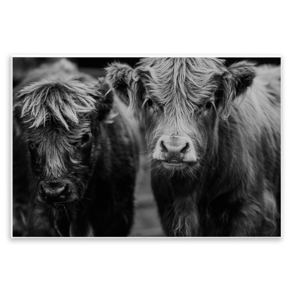 Cow Faces on Farm Wall Plaque Art, design by Amy Carroll