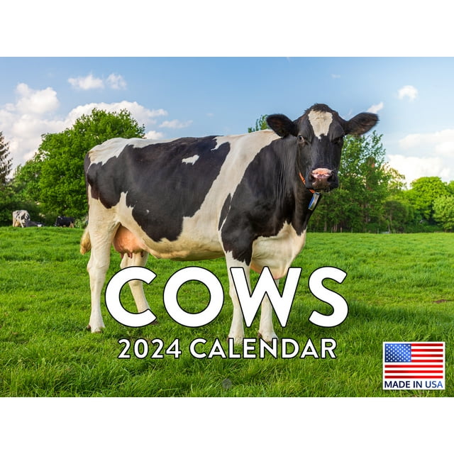 Cow Farm Animal Cattle 2024 Wall Calendar Cow 2024 Calendar