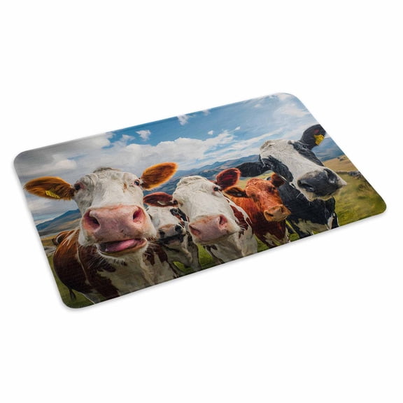 Cow Group Doormat Retro Country Cows Farm Grass Blue Sky Non Slip Low Profile Rubber Door Mat Washable Absorbent Indoor Front Door Mat Entryway Rug Entrance Carpet 16x24 Inch