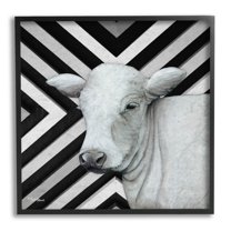Cow Portrait Stripes Pattern Animals & Insects Graphic Art Black Framed Art Print Wall Art