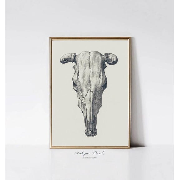 Cow Skull Pencil Drawing, Cow Skull Sketch, Cow Horns Print, Southwest Wall Art, Antique Western Decor, Cowboy Vintage, Poster, Unframed Poster Size 8x12