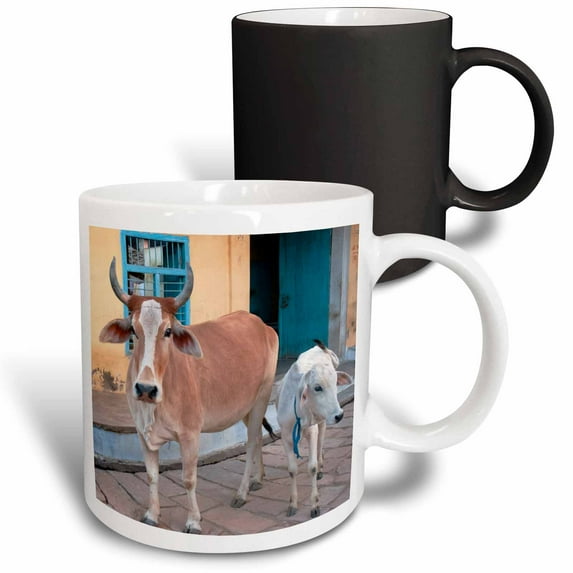 Cow and calf on the street, Jojawar, Rajasthan. 11oz Magic Transforming Mug mug-188237-3