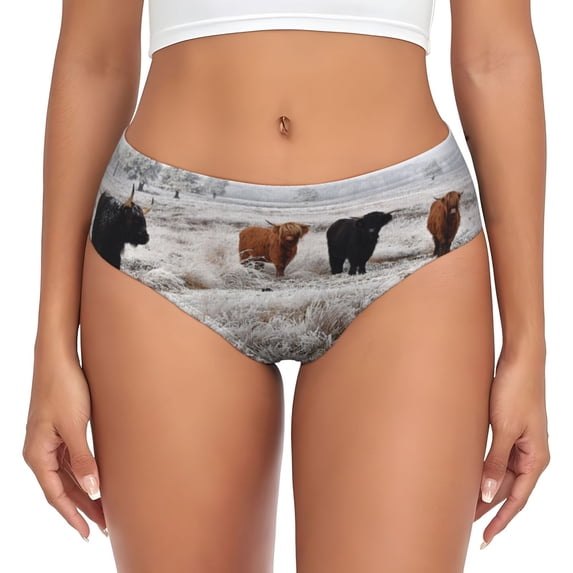 Cow k Womens Briefs Underwear, No Show Seamless Underwear for Women, Soft Stretch Women's Panties, Classic Hipster Panties Bikini Underwear Briefs for Ladies