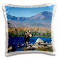 thumbnail image 1 of 3dRose, Cow moose wildlife, Mt. Katahdin, Baxter SP, Maine - US20 HGA0005 - Howie Garber, 16x16 inch Pillow Case, 1 of 1